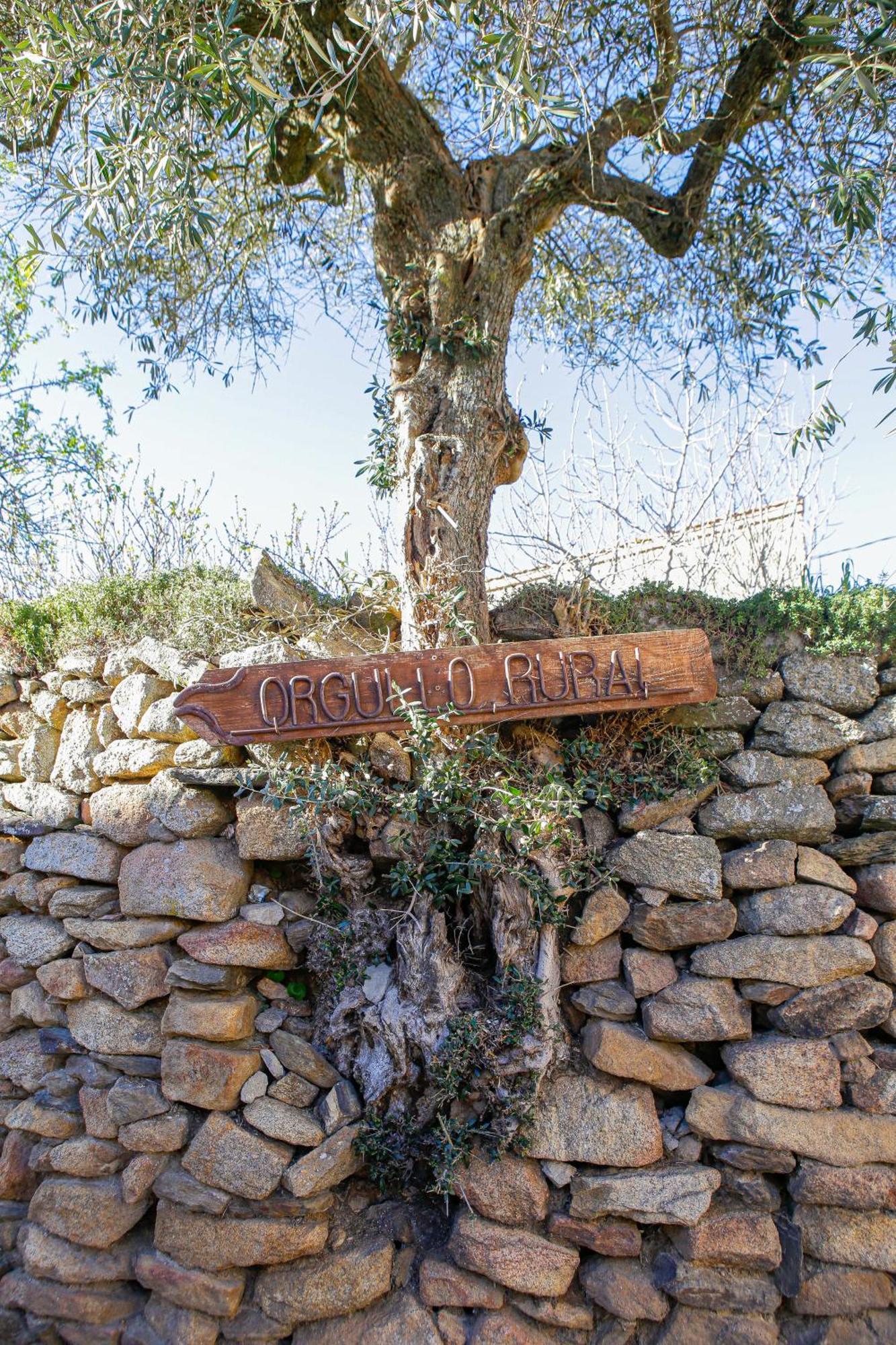 Casa Rural Therma Agreste Bermellar ภายนอก รูปภาพ
